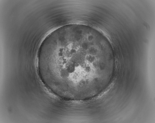 X0000110881125200907021451