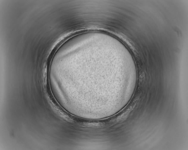 X0000110881126200907021451
