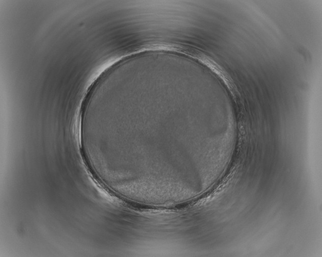 X0000110881127200907021451