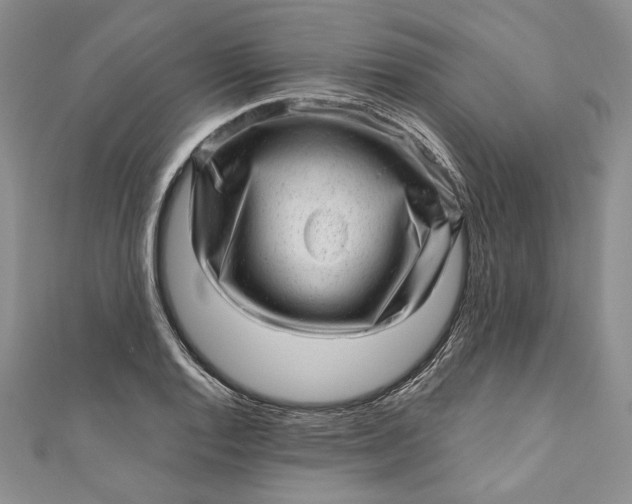 X0000110881128200907021451