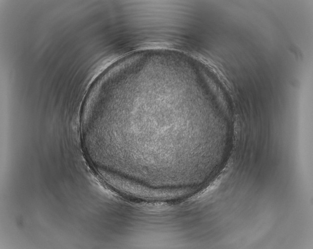 X0000110881129200907021451