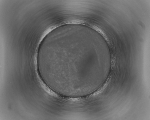 X0000110881130200907021451