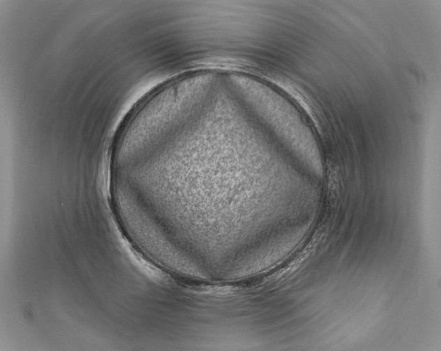 X0000110881131200907021451