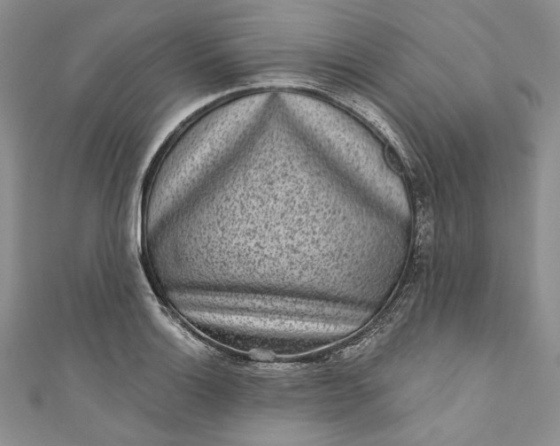 X0000110881132200907021451