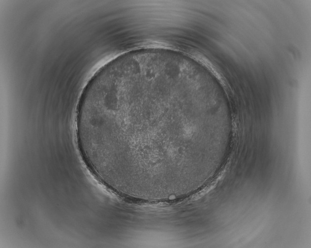 X0000110881133200907021451