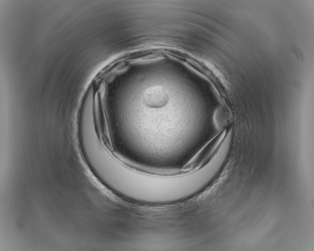 X0000110881134200907021451