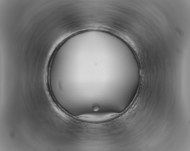X0000110881136200907021451