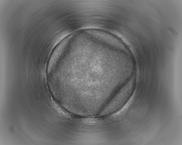 X0000110881137200907021451