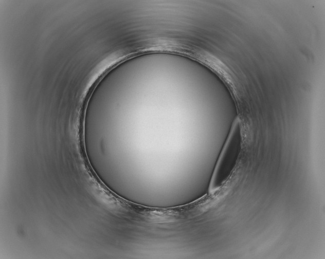 X0000110881138200907021451
