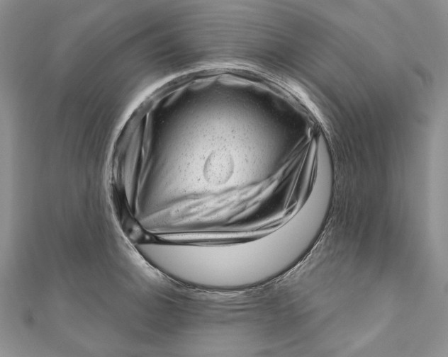 X0000110881140200907021451