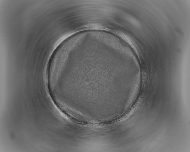X0000110881141200907021451