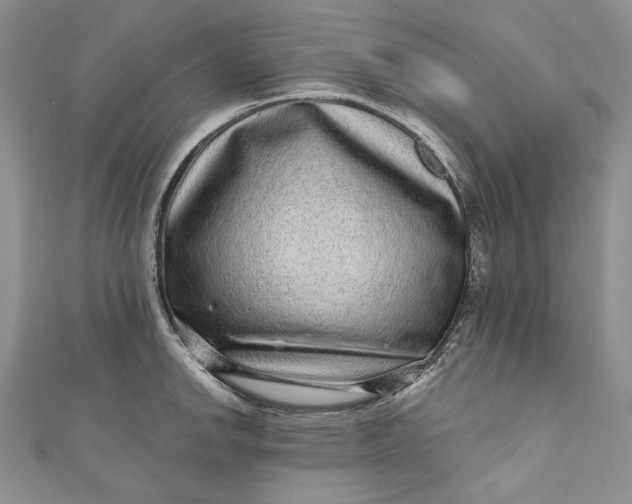 X0000110881142200907021451