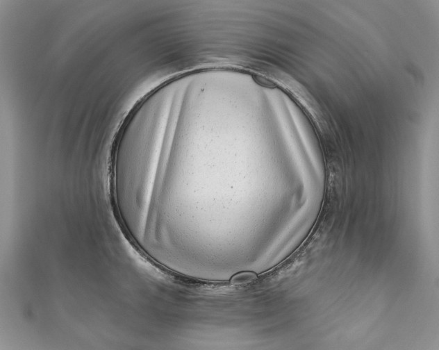 X0000110881143200907021451