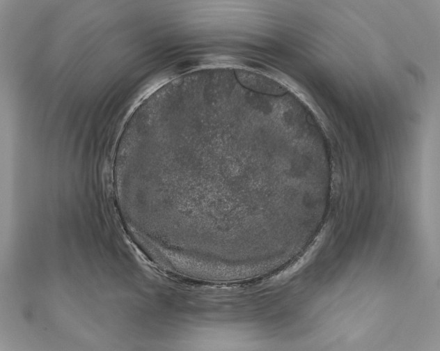 X0000110881145200907021451