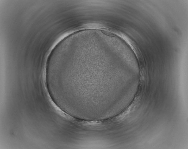 X0000110881147200907021451