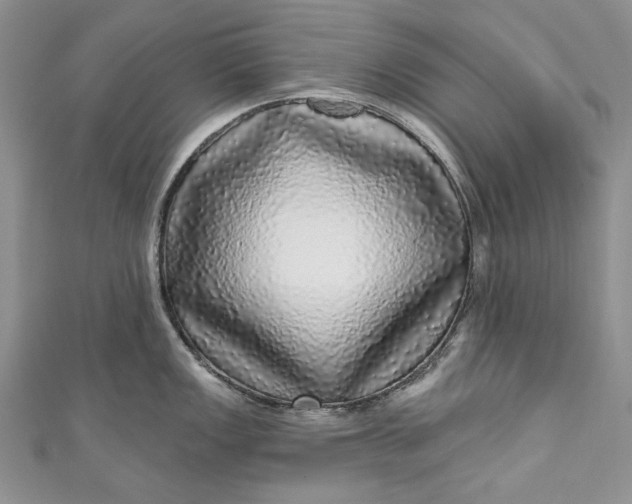 X0000110881149200907021452