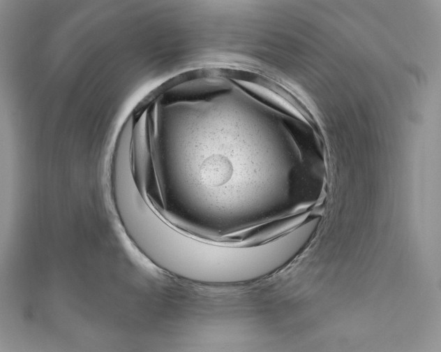 X0000110881152200907021452