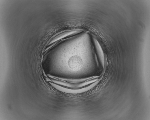 X0000110881153200907021451