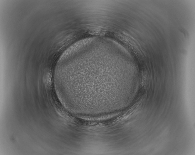 X0000110881154200907021451