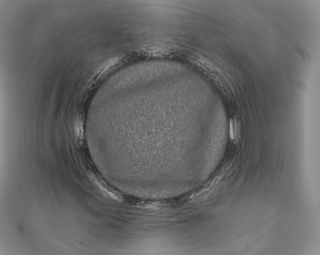 X0000110881155200907021451