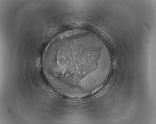 X0000110881156200907021451