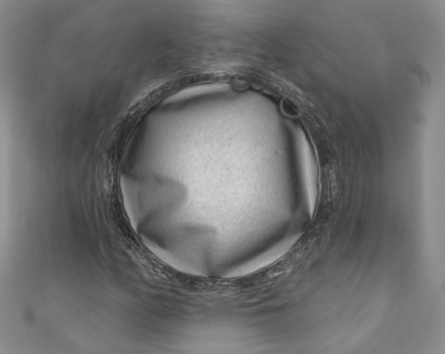X0000110881158200907021451