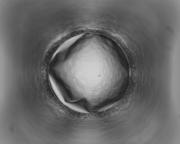 X0000110881159200907021451