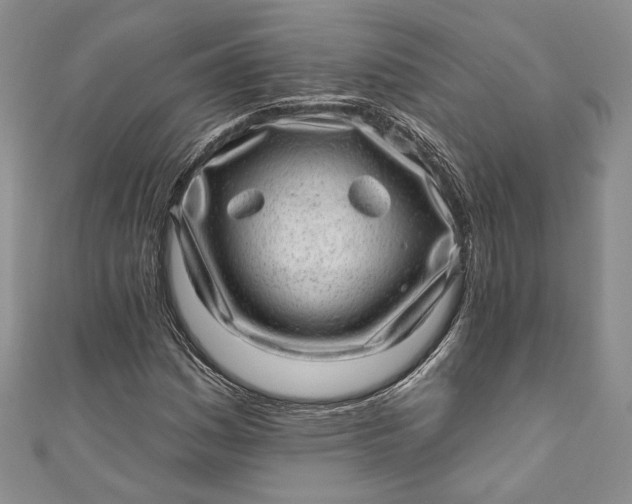 X0000110881161200907021451