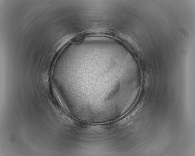 X0000110881162200907021451