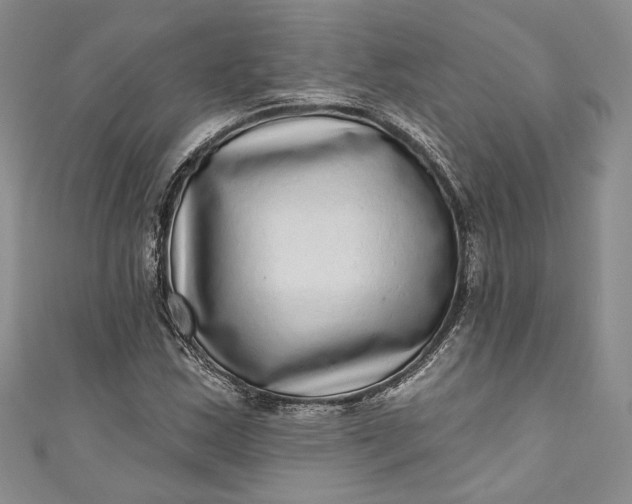 X0000110881163200907021451