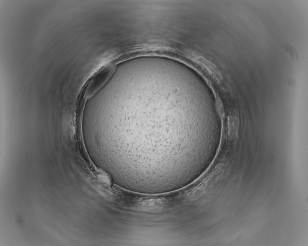 X0000110881165200907021451