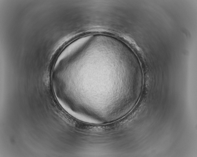 X0000110881167200907021451