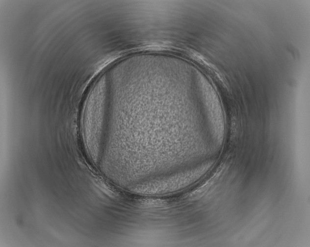 X0000110881170200907021451