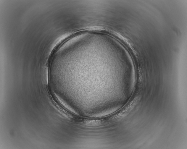 X0000110881171200907021451