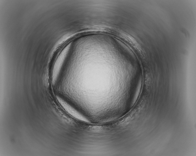 X0000110881172200907021451