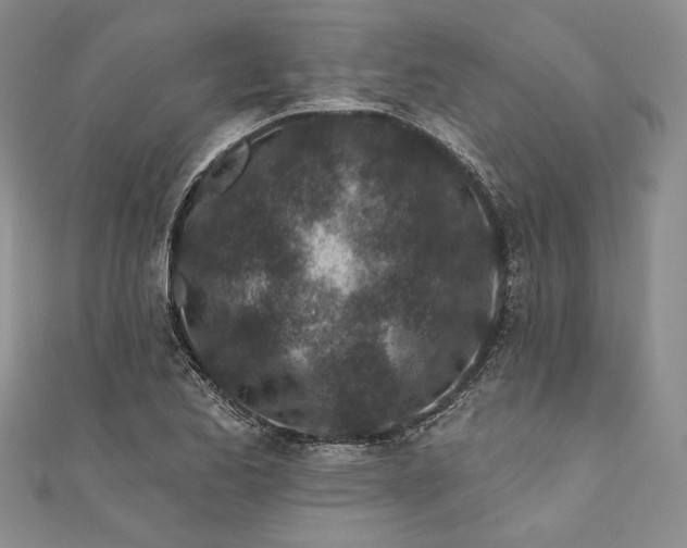 X0000110881173200907021451