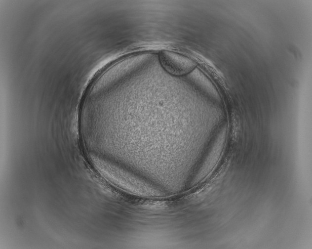 X0000110881174200907021451