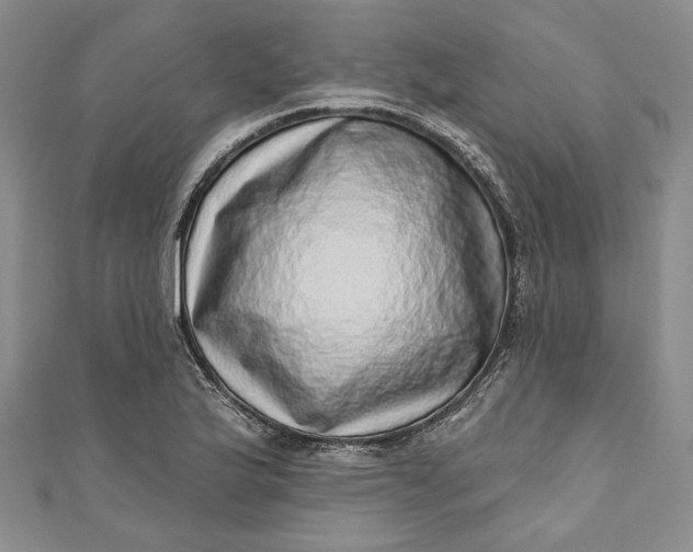 X0000110881175200907021451
