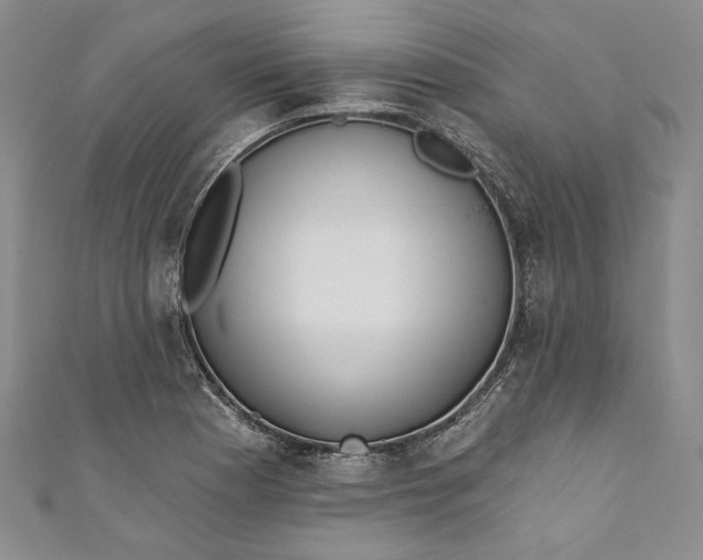 X0000110881177200907021451