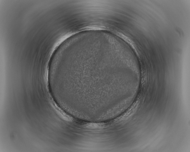 X0000110881179200907021451