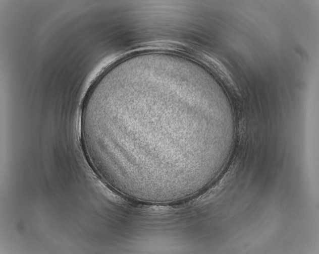X0000110881180200907021451