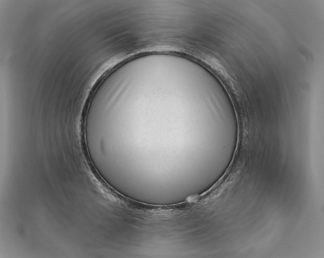X0000110881181200907021451