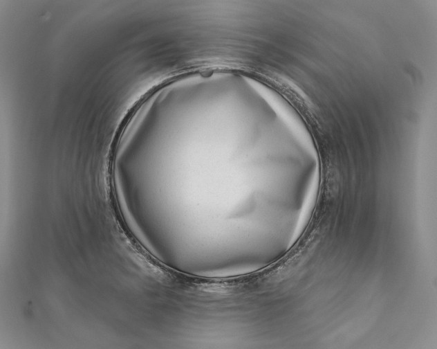 X0000110881182200907021451