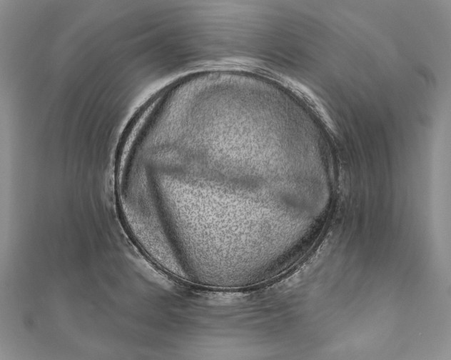 X0000110881184200907021451