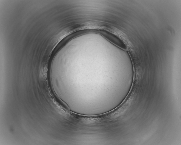 X0000110881185200907021451