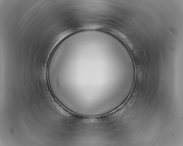 X0000110881186200907021451