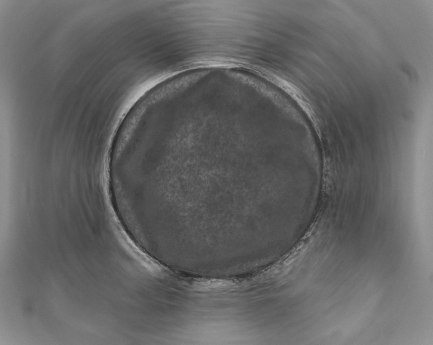 X0000110881187200907021450