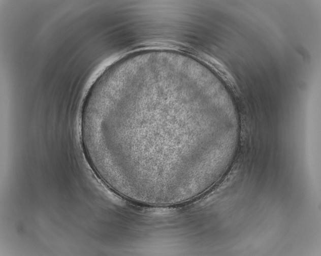 X0000110881188200907021450