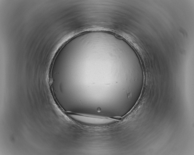 X0000110881189200907021450