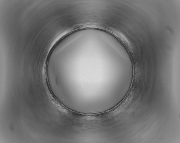 X0000110881190200907021450